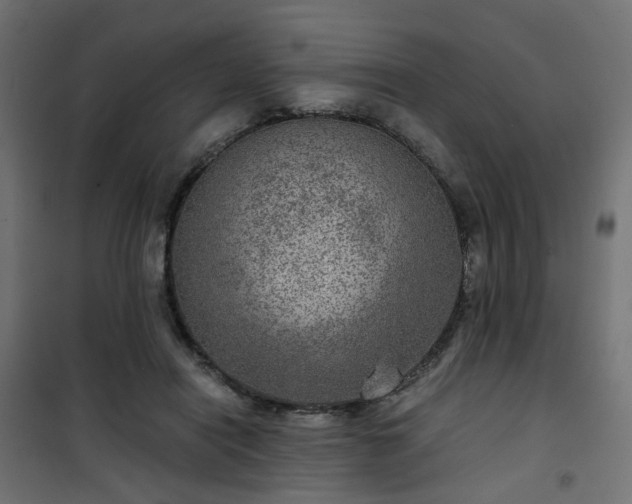 X0000101440454200807141310