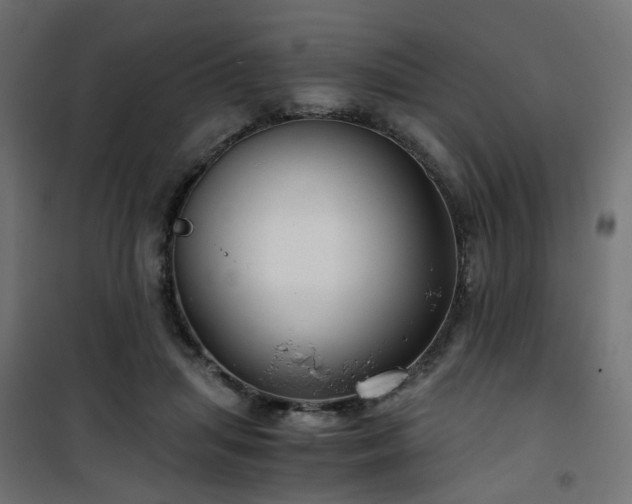 X0000101440455200807141310