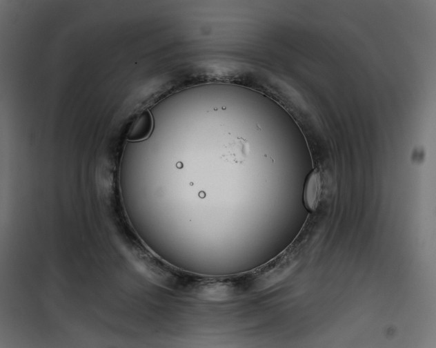 X0000101440456200807141310