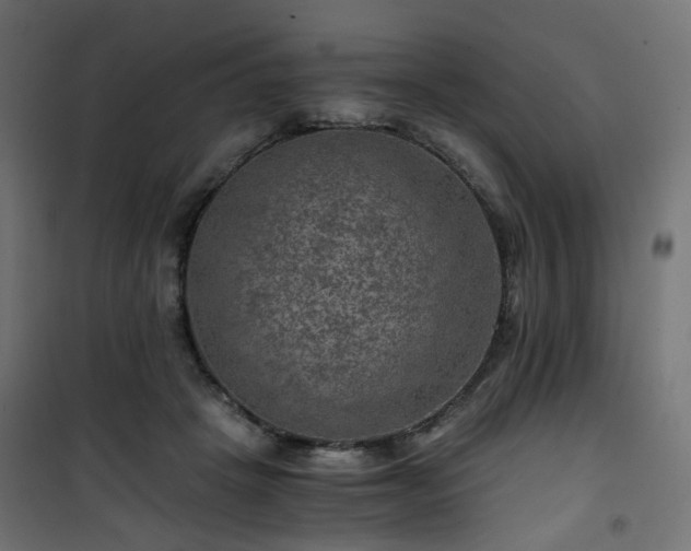 X0000101440457200807141310