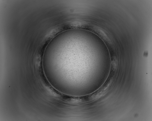 X0000101440458200807141310