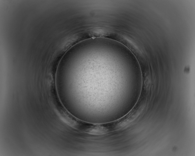 X0000101440459200807141310