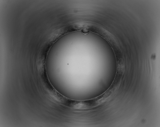 X0000101440460200807141310