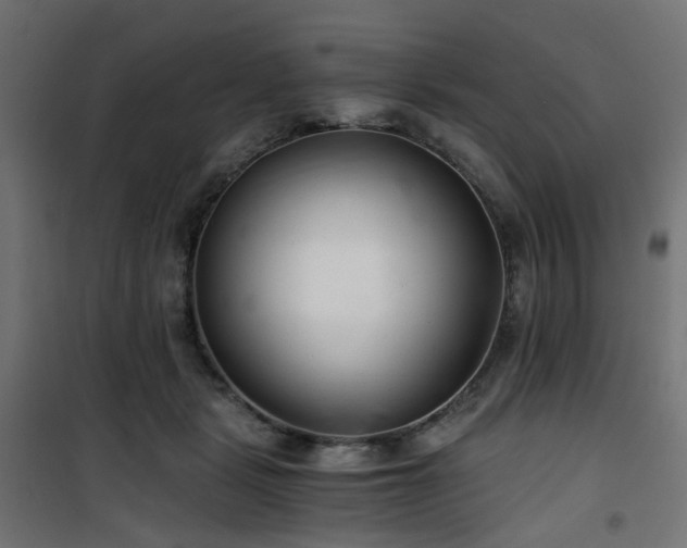 X0000101440461200807141310