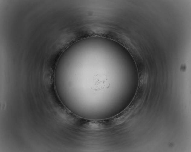 X0000101440464200807141310