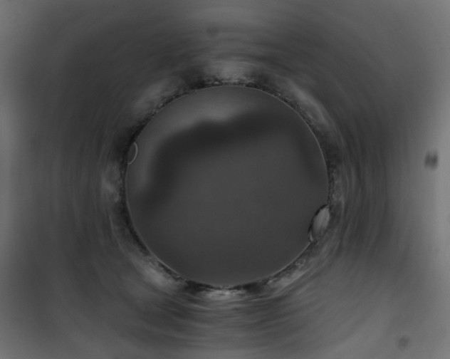 X0000101440465200807141311