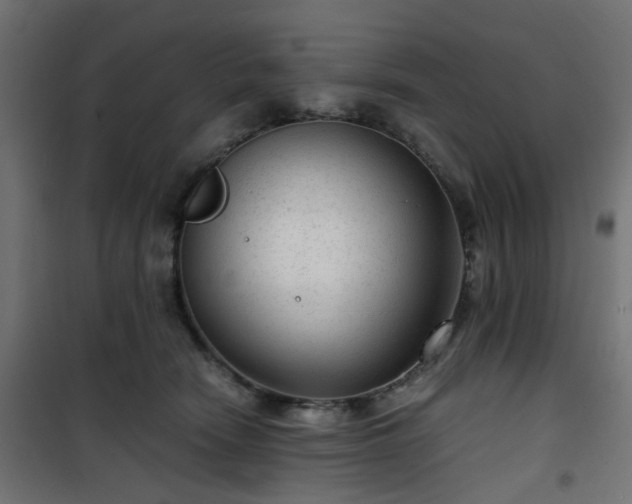 X0000101440466200807141311