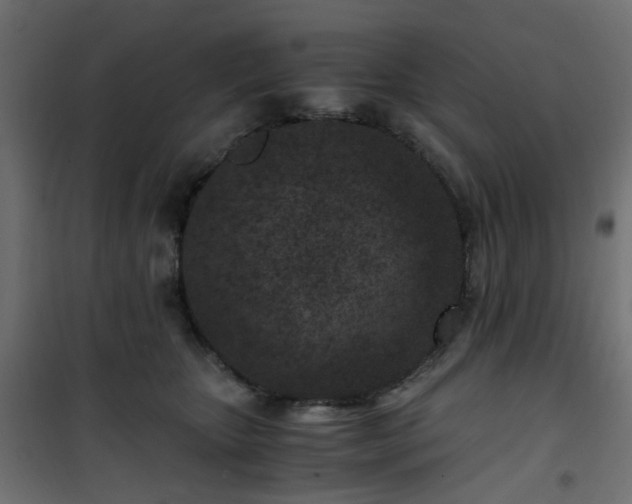 X0000101440467200807141311