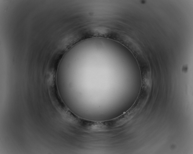 X0000101440468200807141311