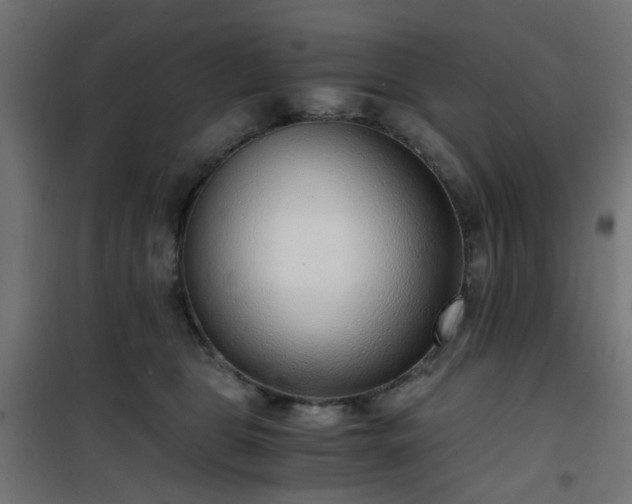 X0000101440469200807141311