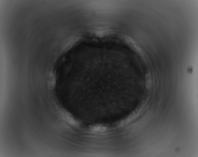 X0000101440471200807141311