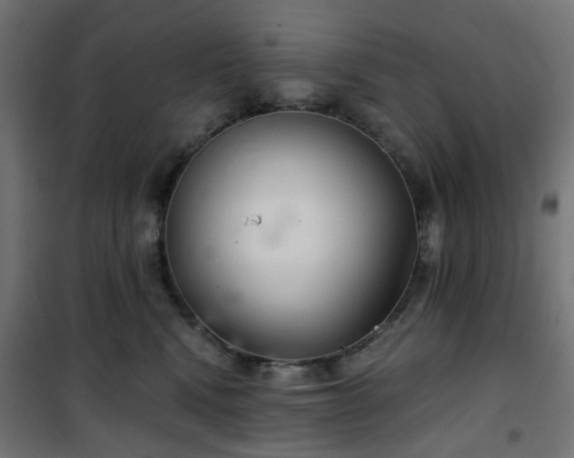 X0000101440472200807141311