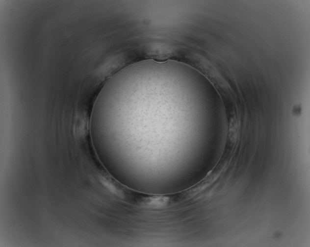 X0000101440474200807141311