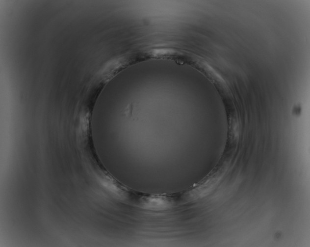 X0000101440475200807141311