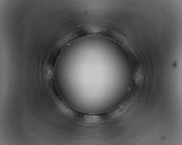 X0000101440476200807141311