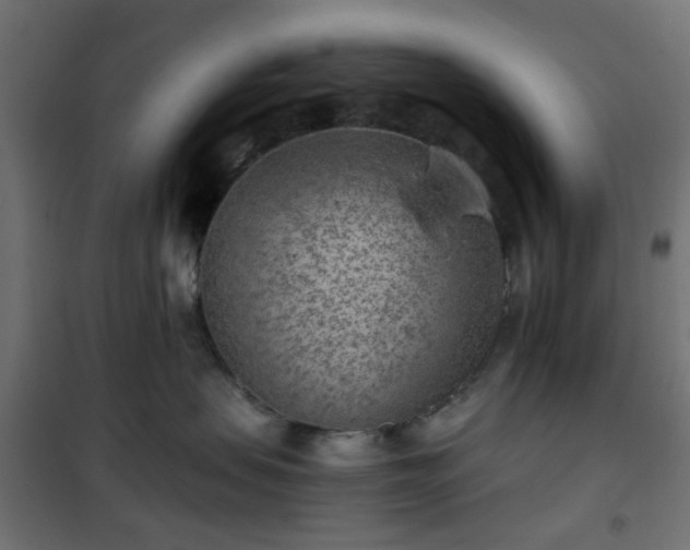 X0000101440479200807141311