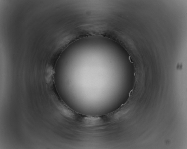 X0000101440480200807141311