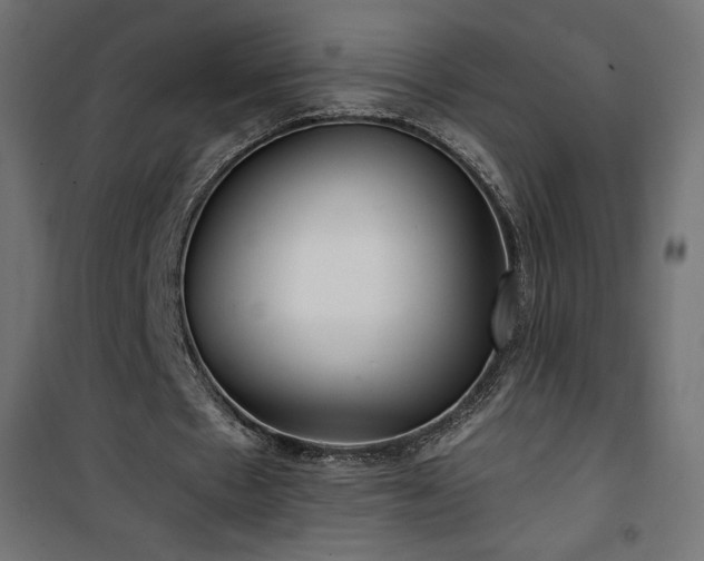 X0000101440481200807141310