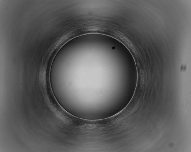 X0000101440482200807141310