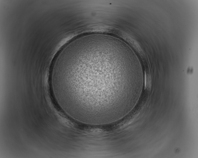 X0000101440483200807141310