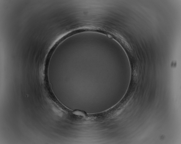 X0000101440484200807141310