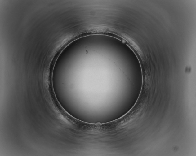 X0000101440485200807141310