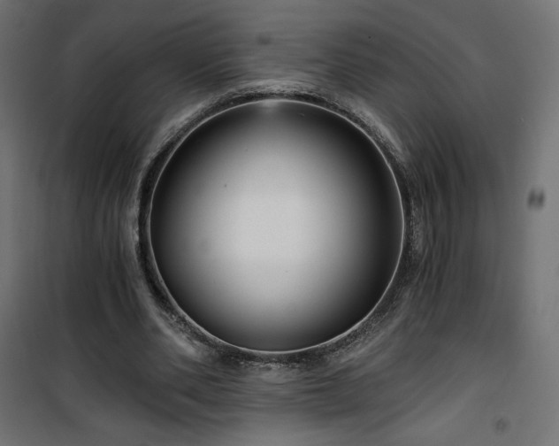 X0000101440486200807141310