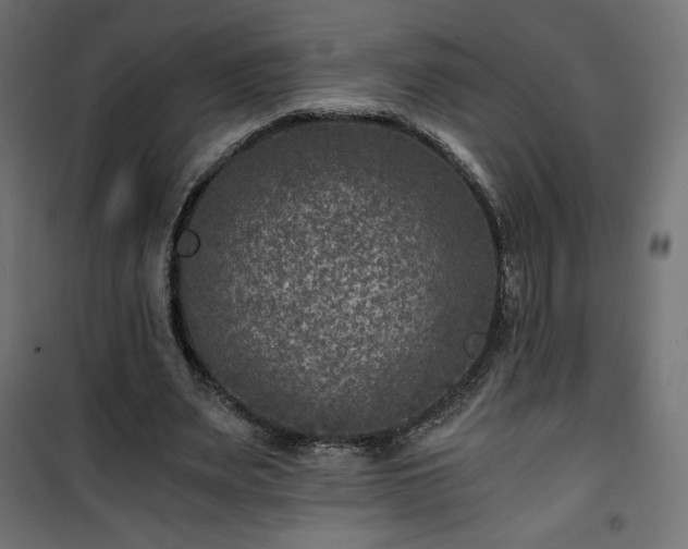 X0000101440487200807141310