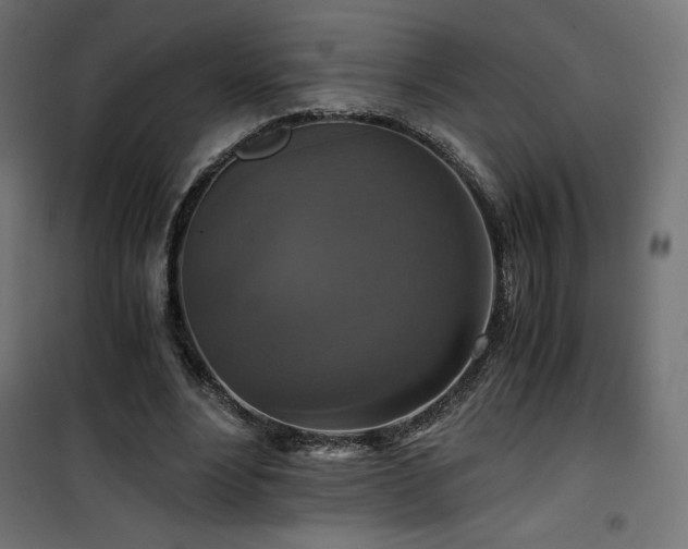 X0000101440488200807141310