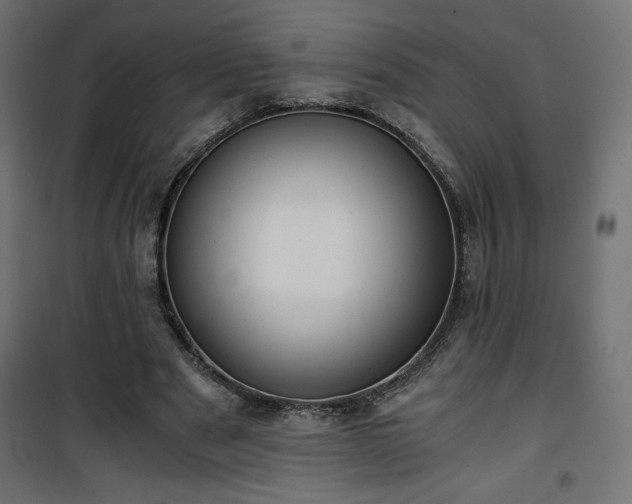 X0000101440489200807141310