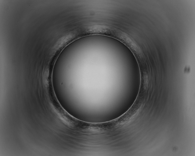 X0000101440490200807141310