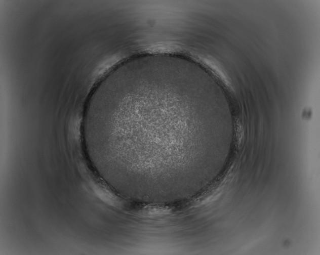 X0000101440491200807141310