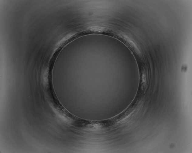 X0000101440492200807141310