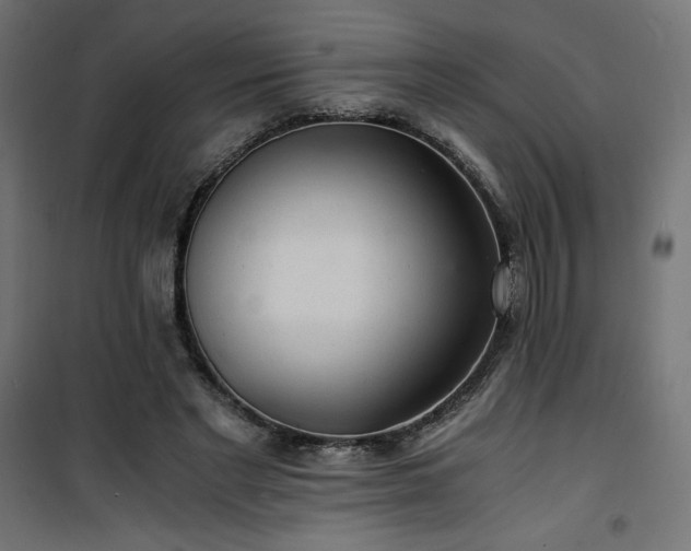 X0000101440493200807141310