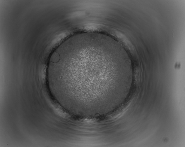 X0000101440495200807141310