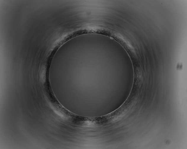 X0000101440496200807141310