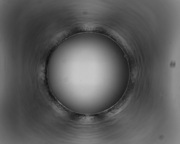 X0000101440497200807141310