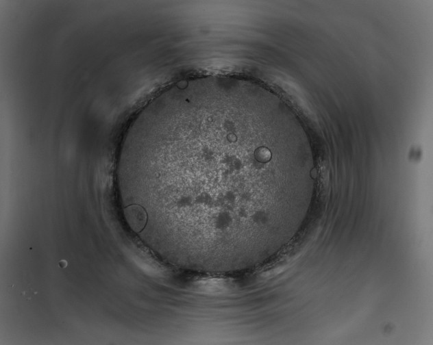 X0000101440499200807141310