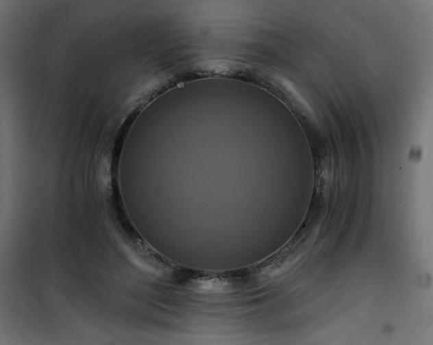 X0000101440500200807141310