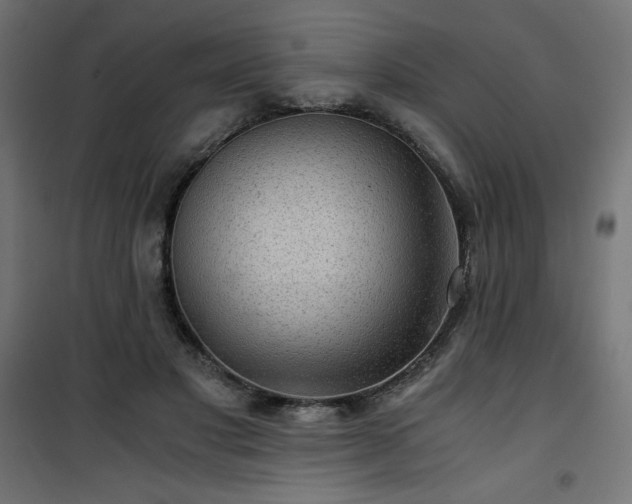 X0000101440501200807141310