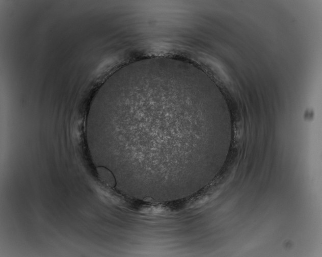 X0000101440503200807141310