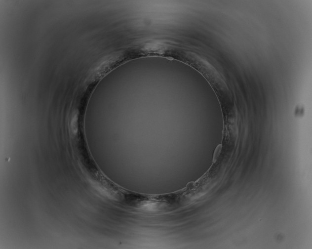 X0000101440504200807141310