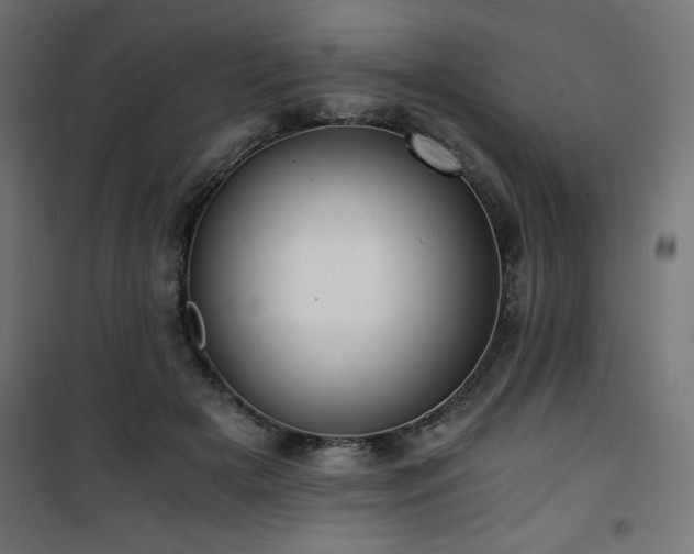 X0000101440505200807141310