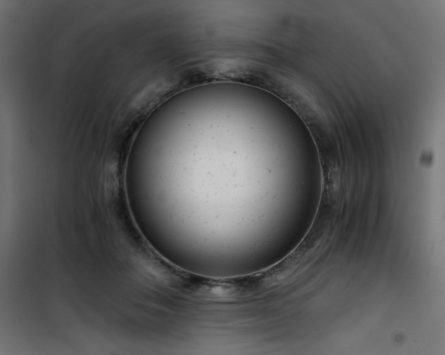 X0000101440506200807141310