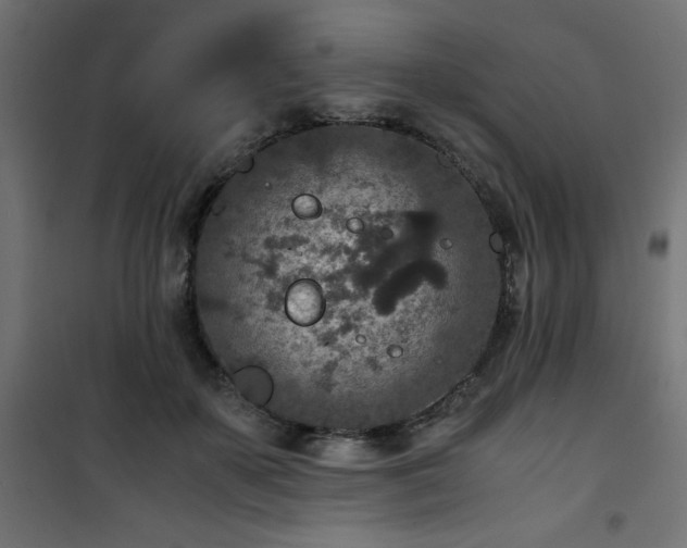 X0000101440507200807141310