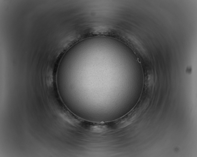 X0000101440508200807141310