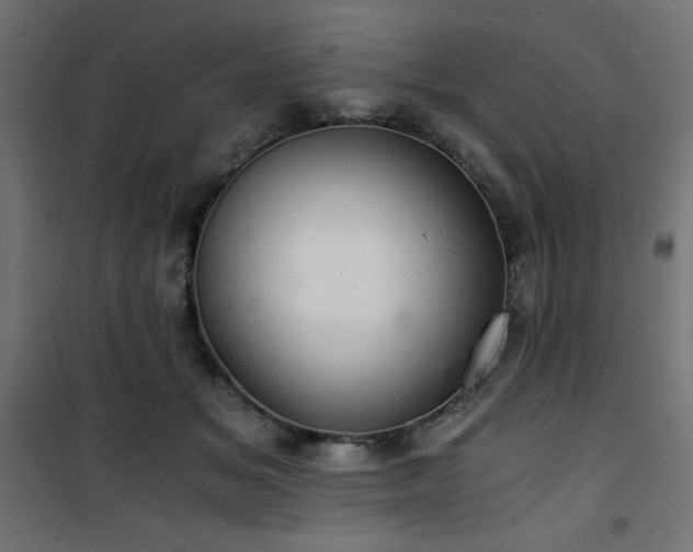 X0000101440509200807141309