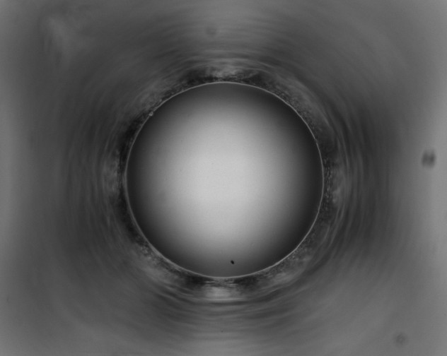 X0000101440510200807141309