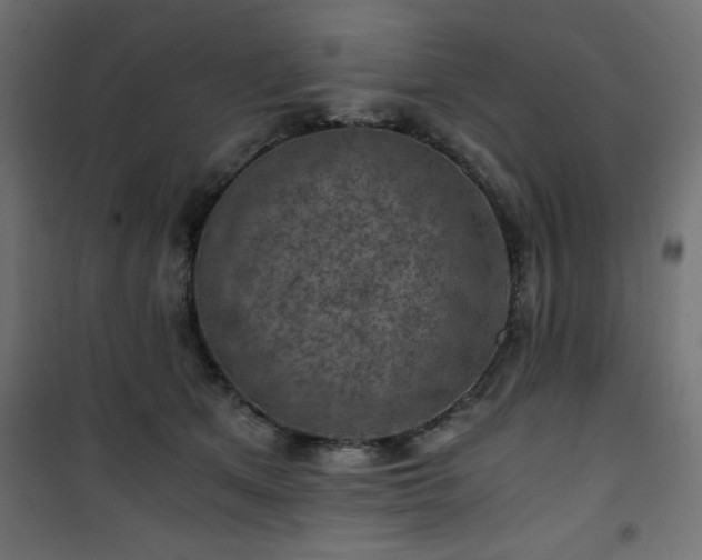 X0000101440513200807141309