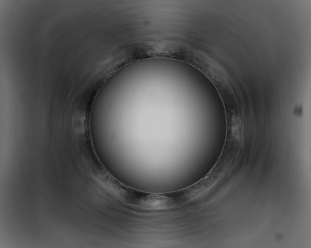 X0000101440514200807141309